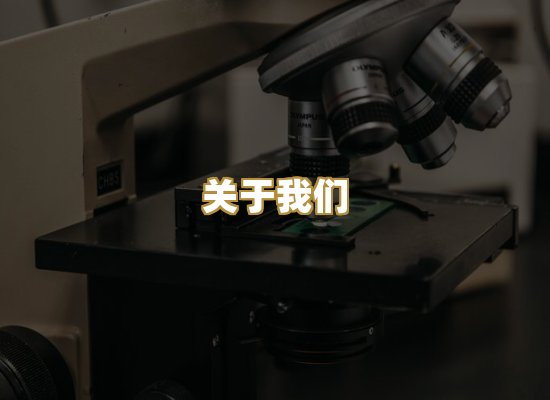 关于我们